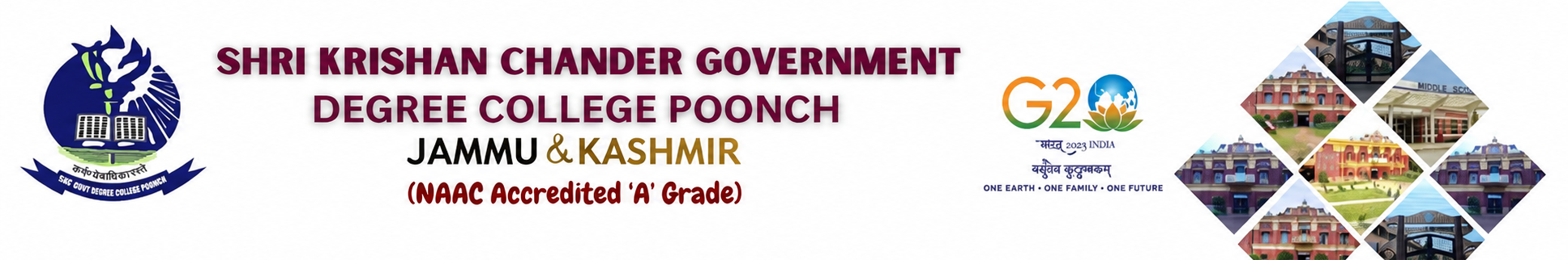 Website Header